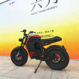 跨境电动自行车可上牌成人智能通勤助力代步车一件代发