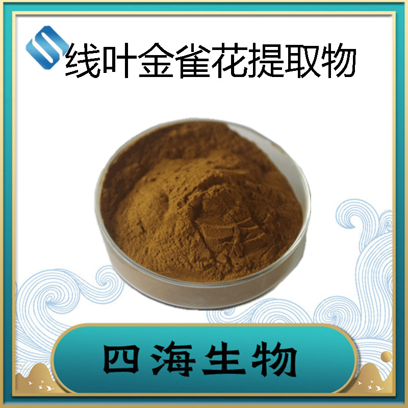 厂家直供 线叶金雀花提取物10:1 水溶性线叶金雀花粉 四海现货