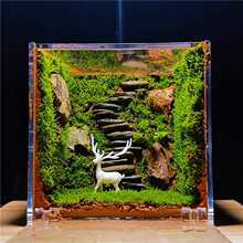 ̦�\΢���^ �����ٲ����焓�����B������ֲ��diy�����r��Gֲ