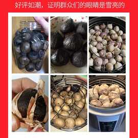 安质康6L黑蒜机家用自制酸奶机甜米酒醪糟泡菜纳豆酸奶发酵机