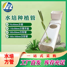 pvc水培方管槽管道无土栽培农田专用花园75 100x100种植种菜管110