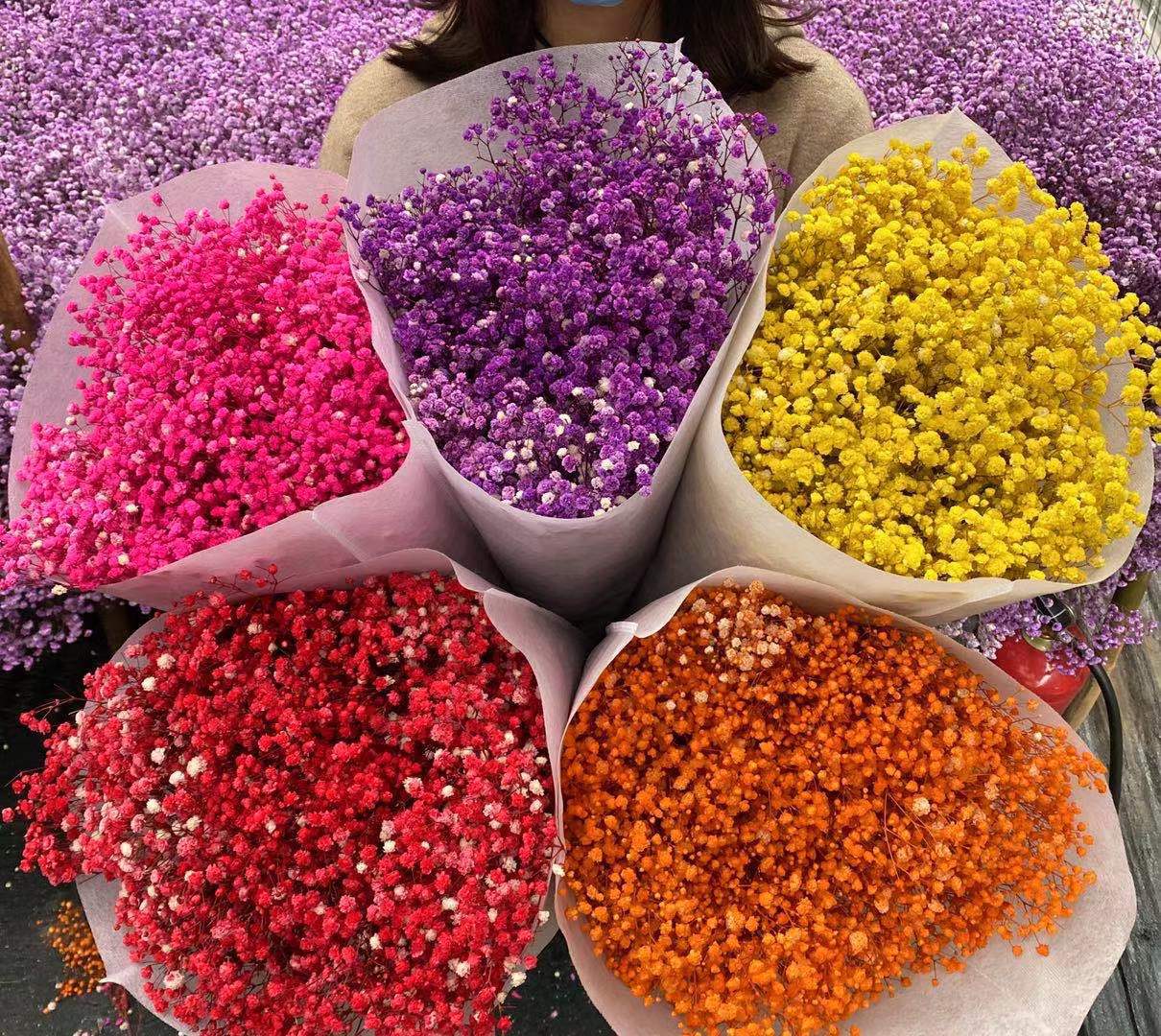 微信图片_20210302085233