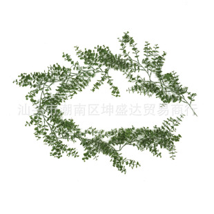 ����ֲ��1.8�׼�������   �ҾӾGɫ�����b�������Ȼ������[��