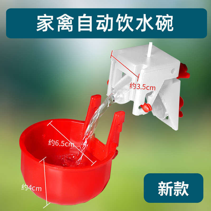 새로운 빨간색 분리형 가금류 그릇(베이스는 빨간색과 흰색으로 무작위로 배포됨)