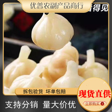 �����������Ǵ������^�����Ǵ״����^������������D�����̲����