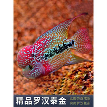 �~���B�ͻˮ�~�^�p�~�������^���^̩���~���_�h�~�Ꭷ�~����