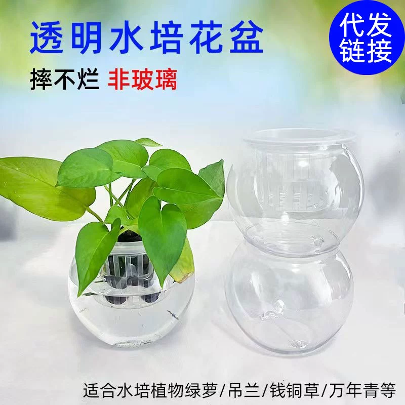 Высокая прозрачная гидропонная ваза Гидропонное растение Зеленый цветочный горшок Аквариум Цветок Контейнер для культивирования рыбы Доставка Посадочная корзина