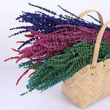 ����������޹�²ݸɻ��[����@�L����޹�Ҿ��b������b��Ĕz����