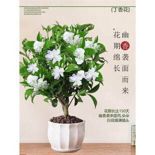 ���㻨����ˮ�����򻨻������҃Ȼ��׻��ļ��Gֲ�̨�҃ȝ�������