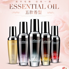 Lodish Moroccan Hair Perfume & Repair Oil for Women, Softens Curly Hair, Post-Perm Conditioning, Frizz Control