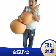 ��Ʒ��Ȼ���J�[���Lˮ����͏d�Ҿ��k���Ҵ�̖���J�����^���˺��J