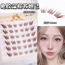 �����z�ؿ��K槼�����ϵ�ֶ�ʽ��͸б�w�Ȼ���ϓP����ʽ��ë