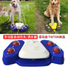 宠物用品跨境亚马逊爆款夏季洗澡喷水狗玩具脚踩自动喂水器饮水机|ru