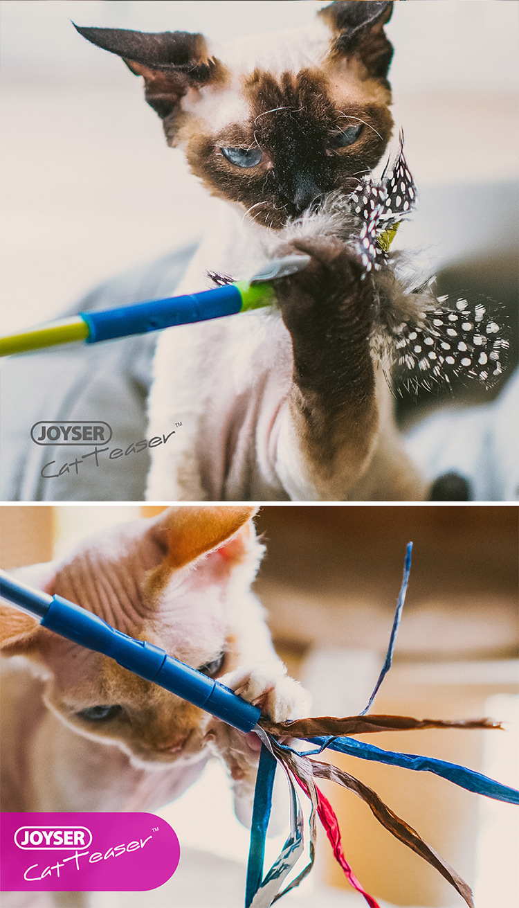 猫?玩具?情_06.jpg