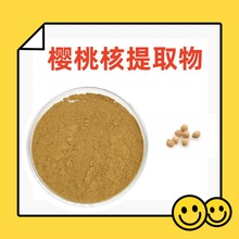 樱桃核提取物 樱桃核粉 粉末均匀 全水溶无结块 六盘韵