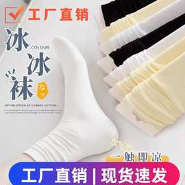 涤堆堆袜子女夏清凉透气ins风糖果色百搭薄款中筒袜女士松口袜子