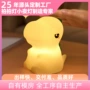 定制充电卡通底座小夜灯