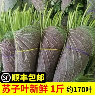 �K���~���rʳ�ð���~���]�n������|�����K�~������K���r������