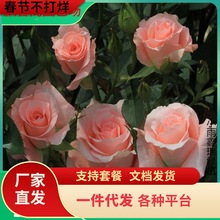 һlõ廨Nļ׷Nr̨҃Իltõ