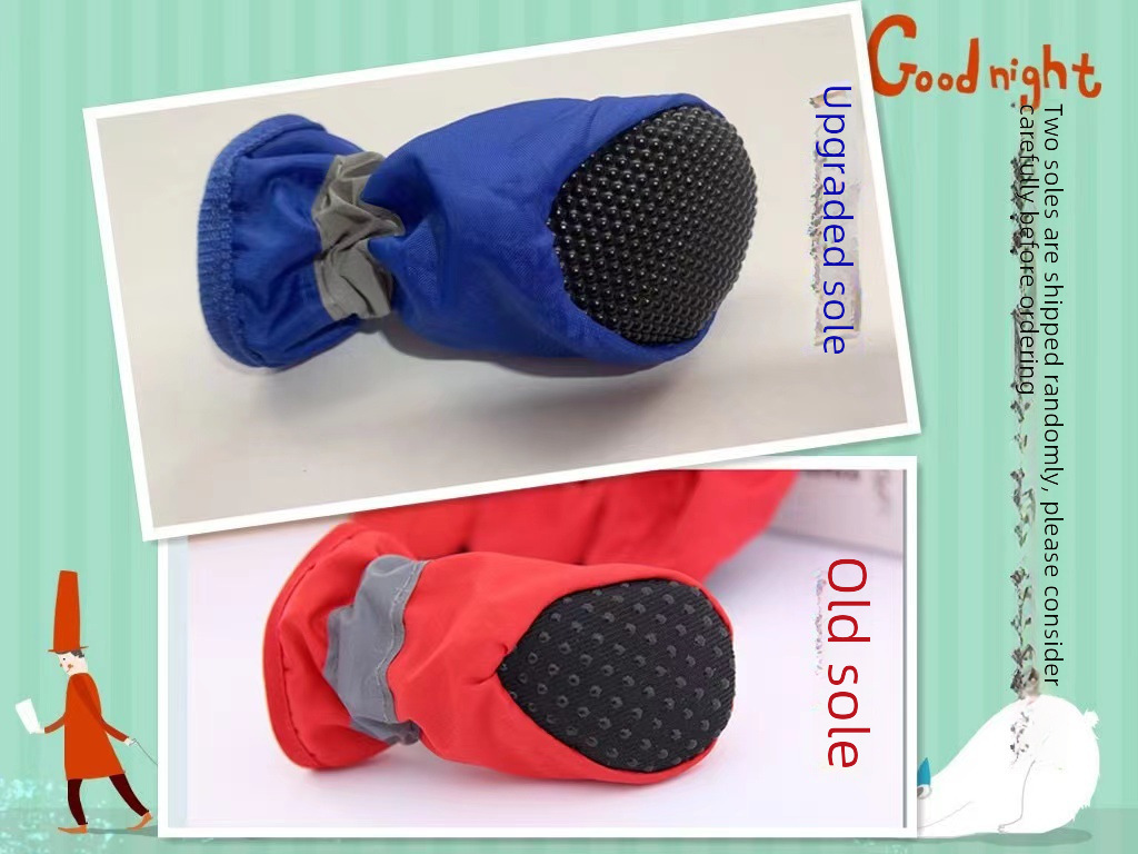 Dog Shoes 4