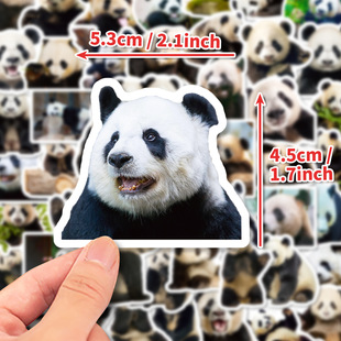 50 Panda Realistic Stickers Cute Giant Panda Flower Expression Bag Stickers Computer Mobile Phone Water Cup Stickers Cross Border