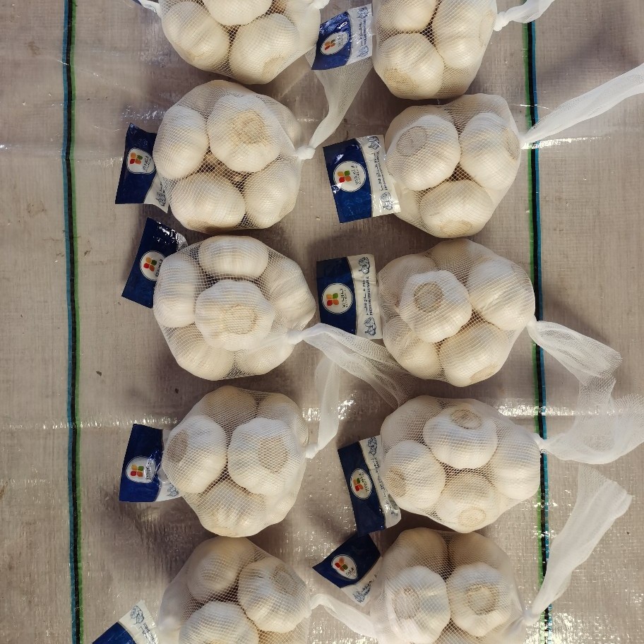 山东大蒜干蒜白皮金乡紫皮鲜蒜瓣新货1斤5斤批发代发【包邮】多瓣