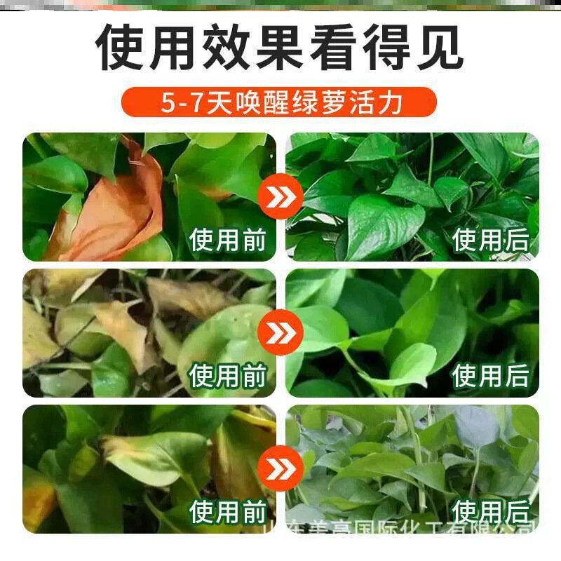 グリーンピクシー専用養液、葉面スプレー、希釈不要、グリーンピクシー万能肥料、家庭用花鉢植え肥料|undefined