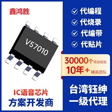 ����¼��оƬ10��IC30��ICоƬic�����ɱ��V57012
