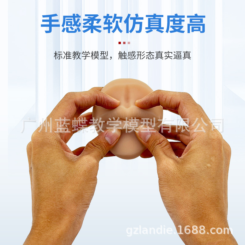 ����轺�����ϰģ�����ִ��׶�������۾�ü����ͷ�촽�궤ѧϰ