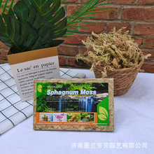 ���s��ˮ̦���ܘ������ָ׵ײ������،m�a���|�Ϻ����m�Nֲ�ЙC��