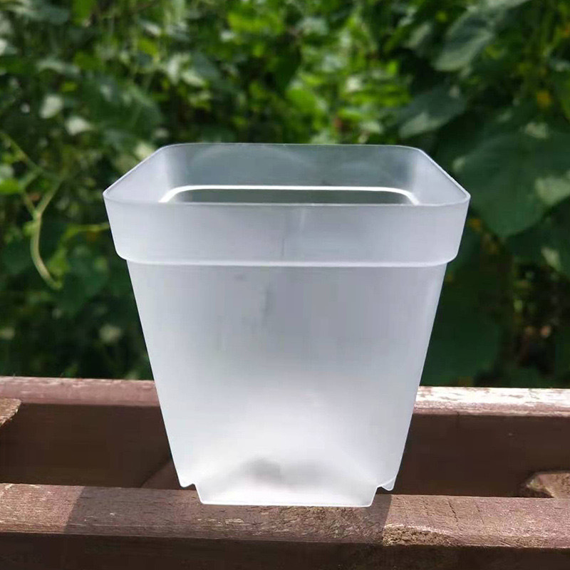 透明色；上口径7cm*下口径5cm*高8cm / 【盆+含底托】