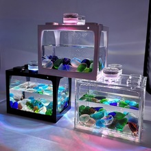 小鱼缸水母创意生态缸微景观斗鱼缸热带鱼水族箱带灯生态瓶