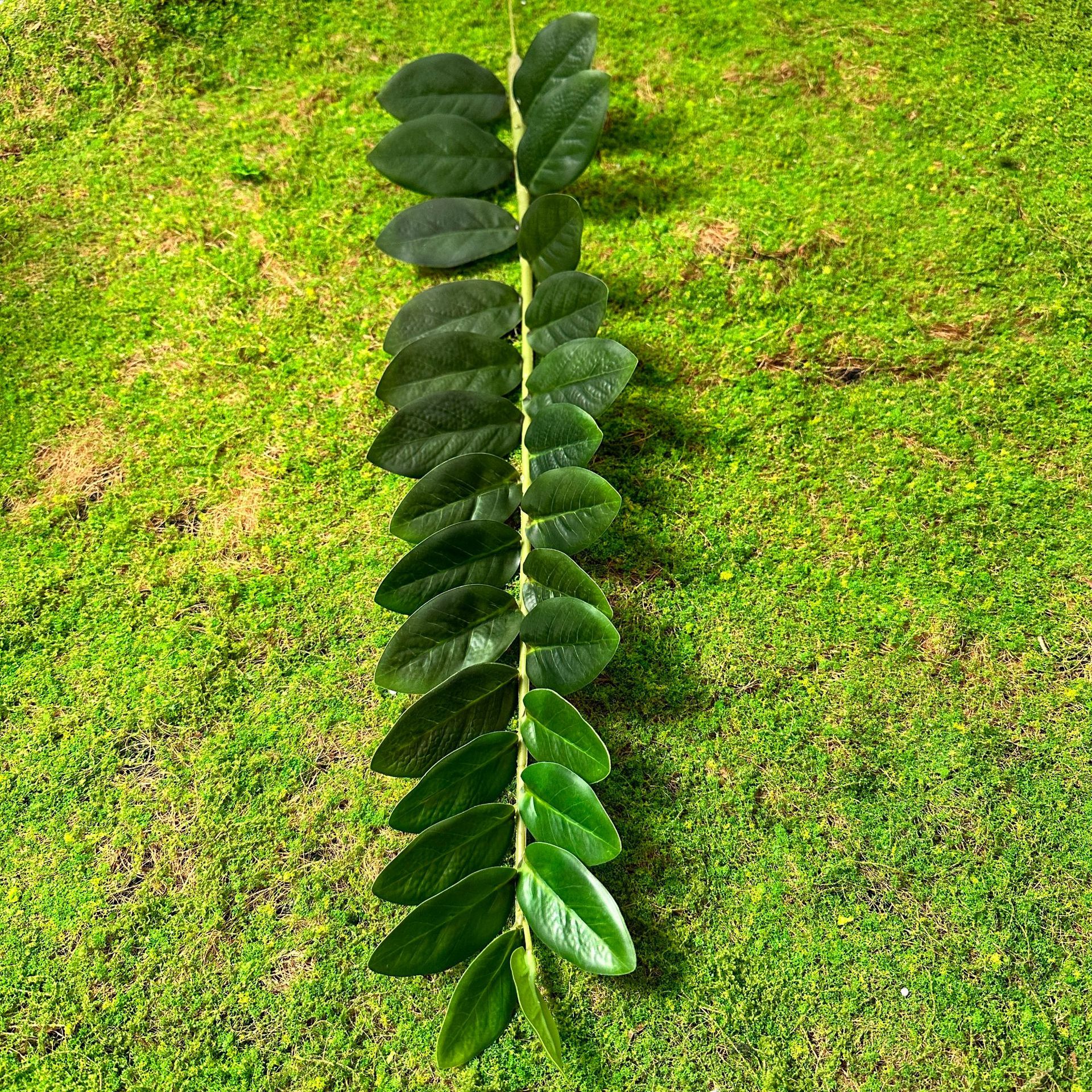 Hojas de dinero 27 hojas individuales (altura 75)