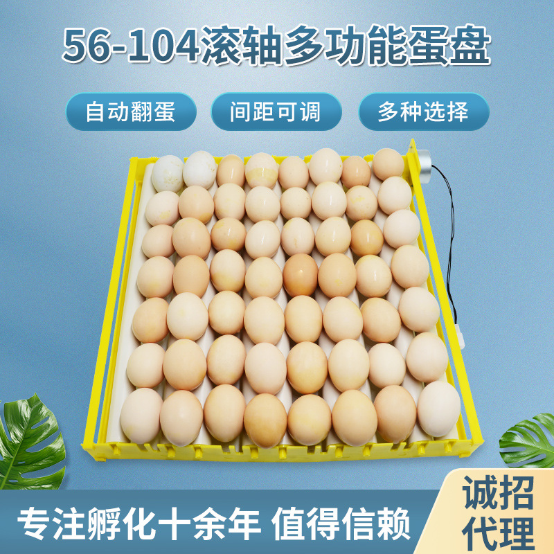 Incubadora pequeña placa de huevo hogar multifunción placa de huevo automático pollo pato ganso pájaro huevo placa rodillo huevo placa