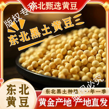 5斤东北黄豆10斤24年大豆非转基因打豆浆生豆芽当季新货