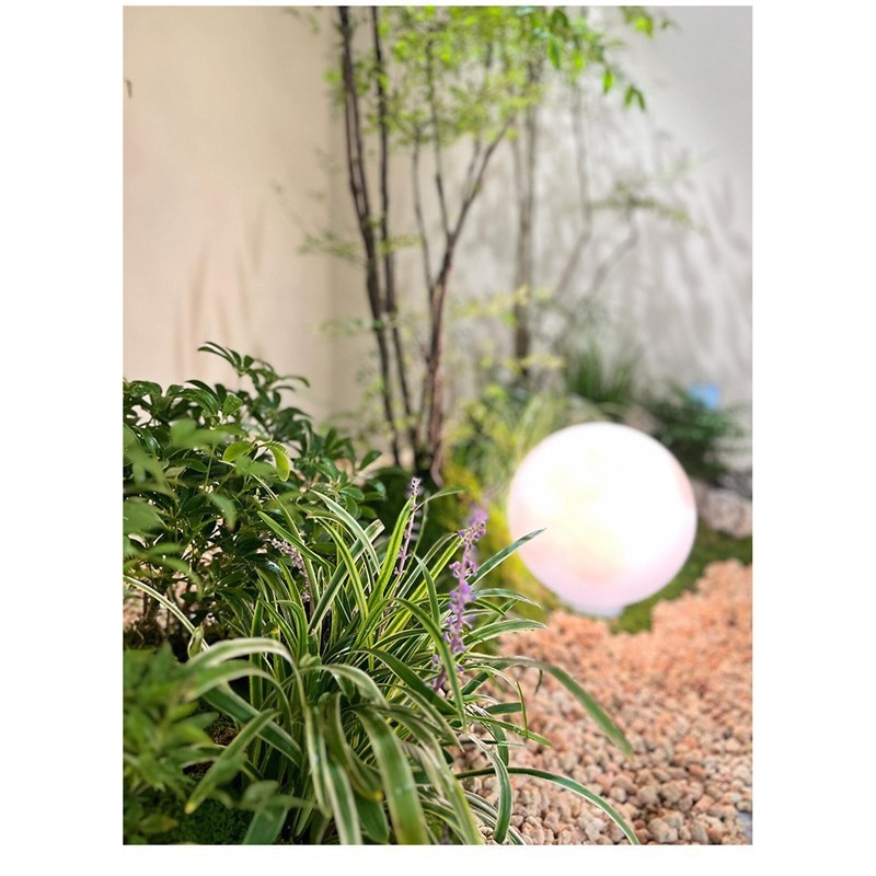 緑のカエデの木をシミュレーションします。|undefined