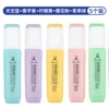 [Blue + Purple + Yellow + Pink + Green] 5 pieces