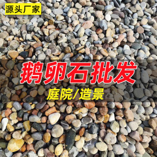 ����ͥԺ�Z��ʯ׃�վ�^�V�����l�����·ʯ�^���Bʯ����Ȼ����ʯ