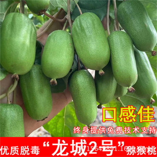 �Ի��ڷ۾���ܛ���J������䎧�����Ե��Լt������Ϸ��|�����Nֲ