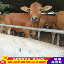 �����Sţ�m���ڰ�����B�� �����Bֳ�����Sţ�m���� �����Sţ�r��