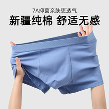 �½�������ʿ�ڿ�2026�¿�����ƽ�ǿ���������ʽ�Ľǿ��п�̿�