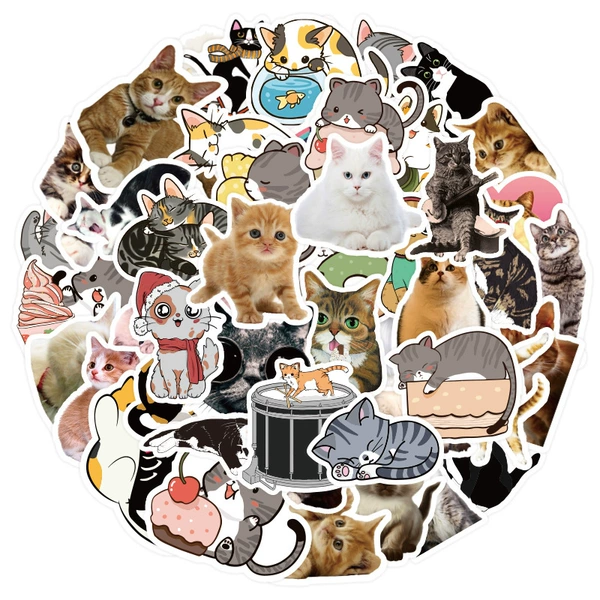 Котёнок (50 шт.)