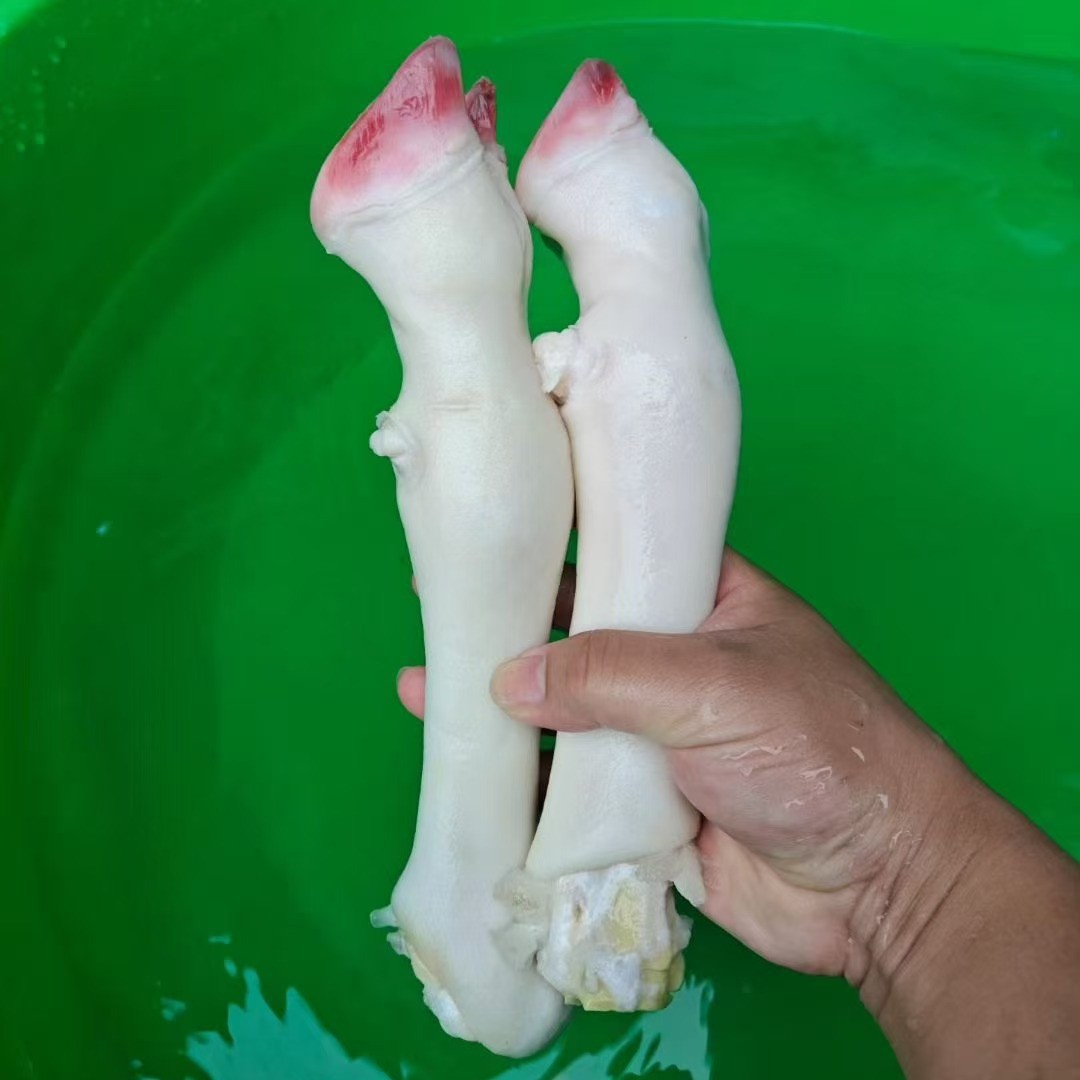 羊蹄生鲜冷冻摆摊用批羊脚火烧羊蹄50斤拿货麻辣羊蹄羊头去毛羊腿