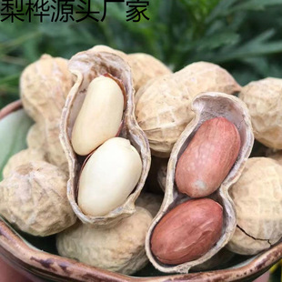 ��؛��ζ�����uζ�����������ͺ���ζ�컨����1��5��羳���S���l