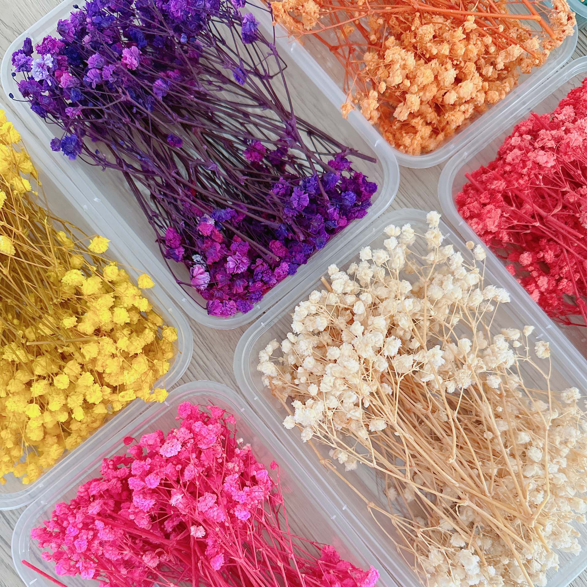 Everlasting Flower Full of Stars Cross-border Handmade Material Package Fan DIY Handmade Material Glass Cover Photo Frame Box Wholesale 