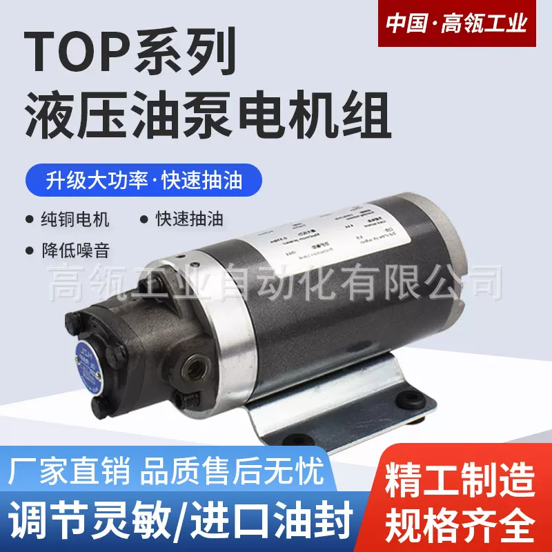 微型液压齿轮泵小型液压电机油泵dc24v抽油泵泵头带阀12v厂家直销