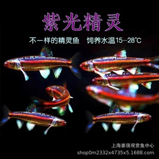 �Ϲ⾫�`�~��ˮ�^�p�~����޺絭ˮС���ͺ���ˮԭ���~���~���B�~