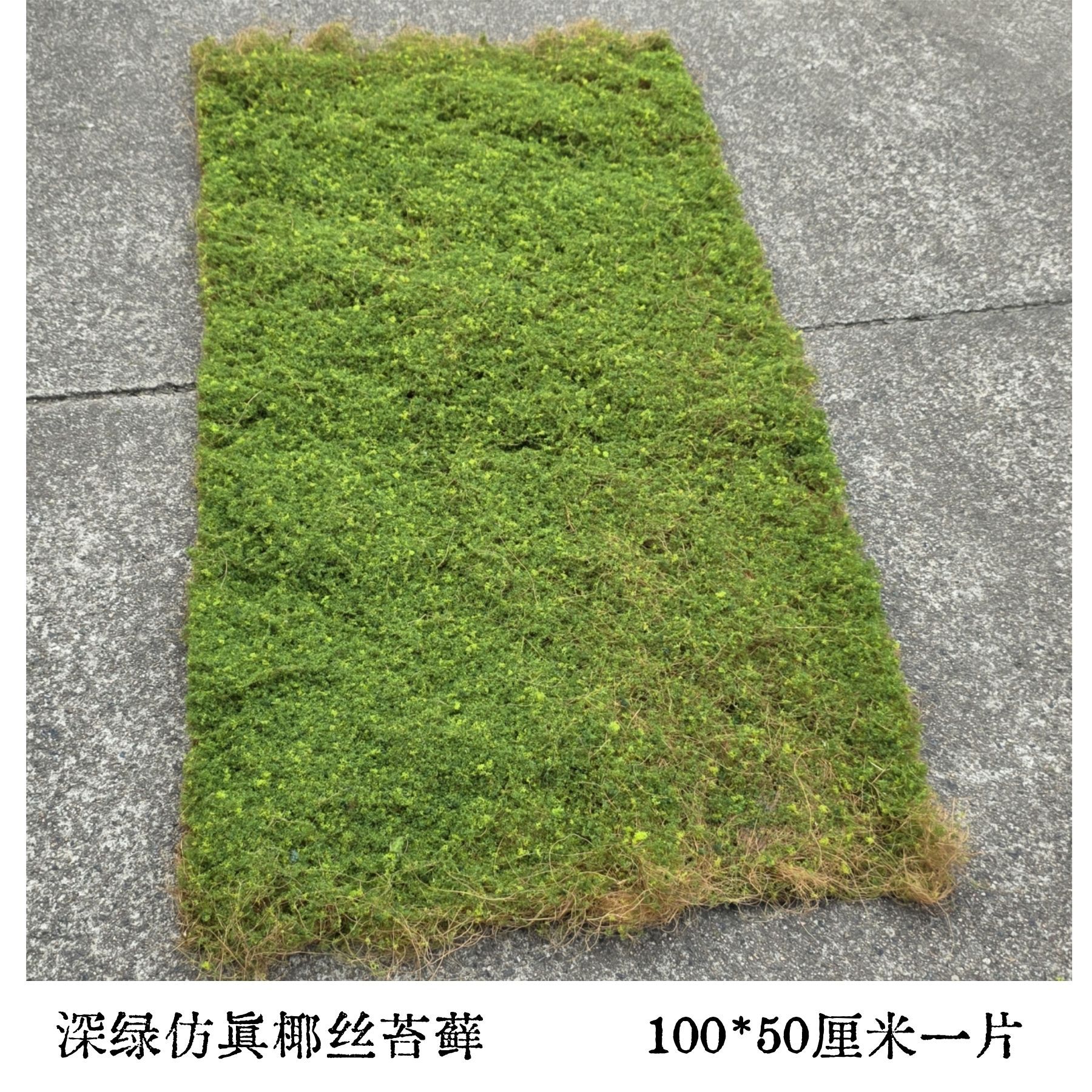 Coconut moss dark green [100cm*50cm]