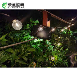 G40太阳能灯串LED solar power string light装饰节日婚礼圣诞灯