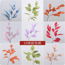 �����ȸ�������~����~����~Ƭ��Y��̨·���廨�Ƶ�Ӱ��gֲ��